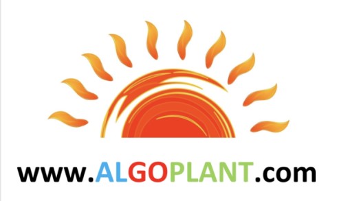 Algoplant